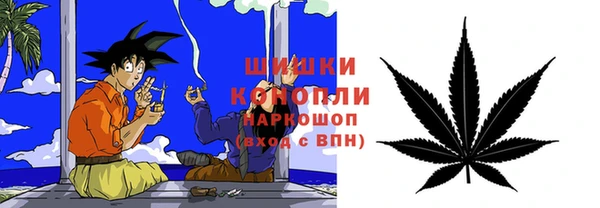 шишки Верея